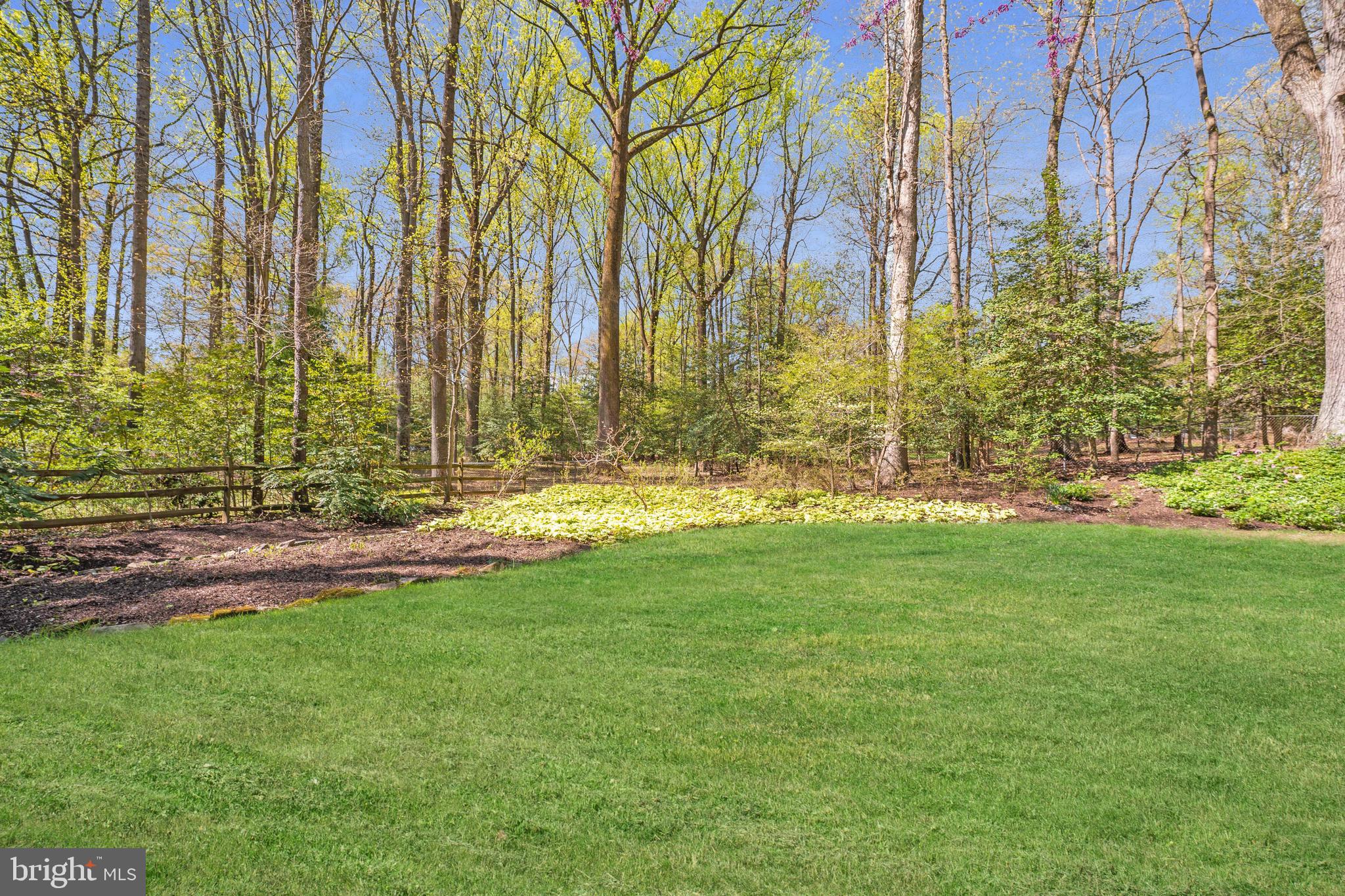 3214 Foxvale Drive Oakton, VA 22124 - Photo 46 of 56 a view of swimming pool with lawn chairs and large trees