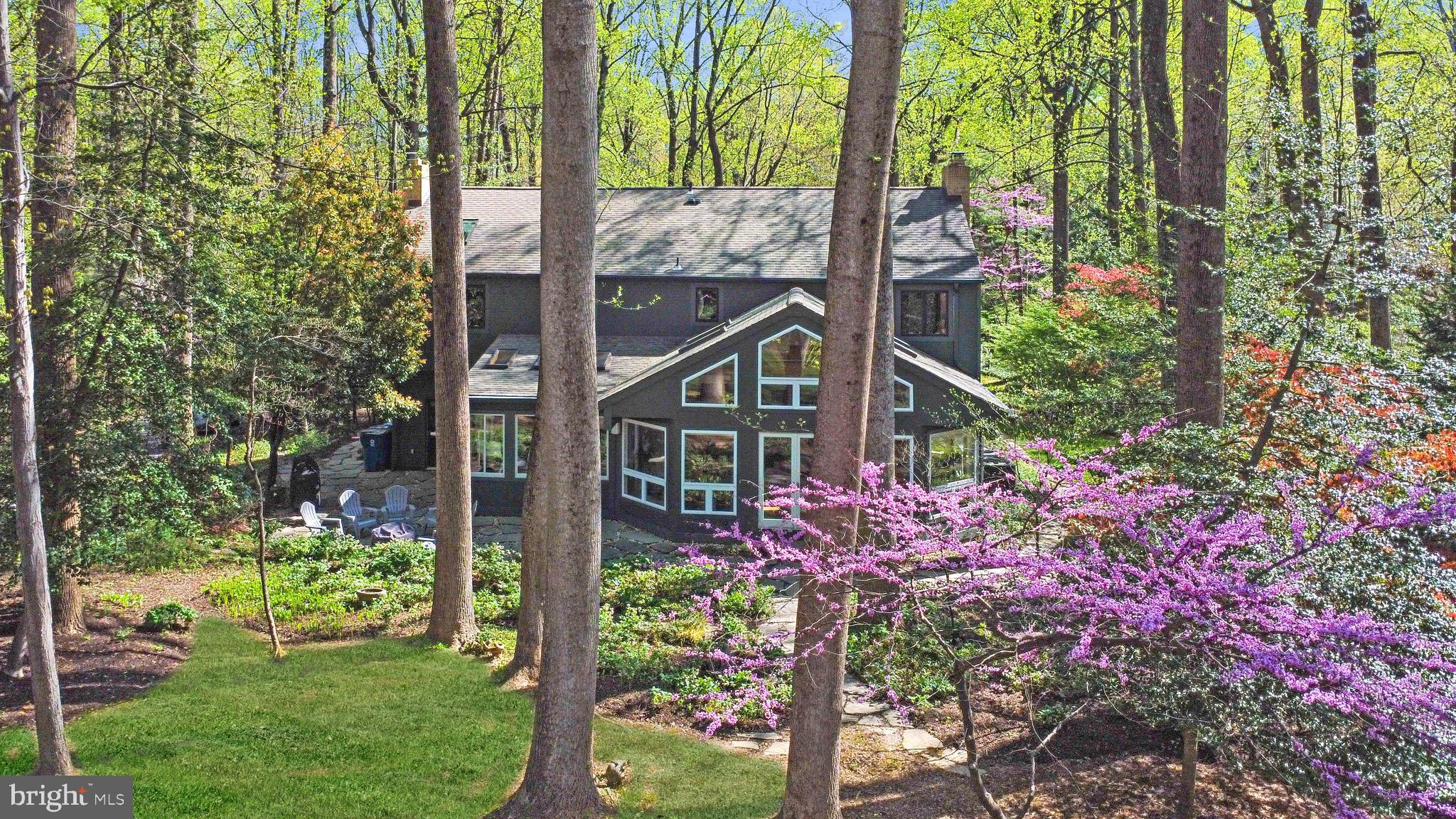 3214 Foxvale Drive Oakton, VA 22124 - Photo 49 of 56 a view of a potted flower in a yard next to a yard
