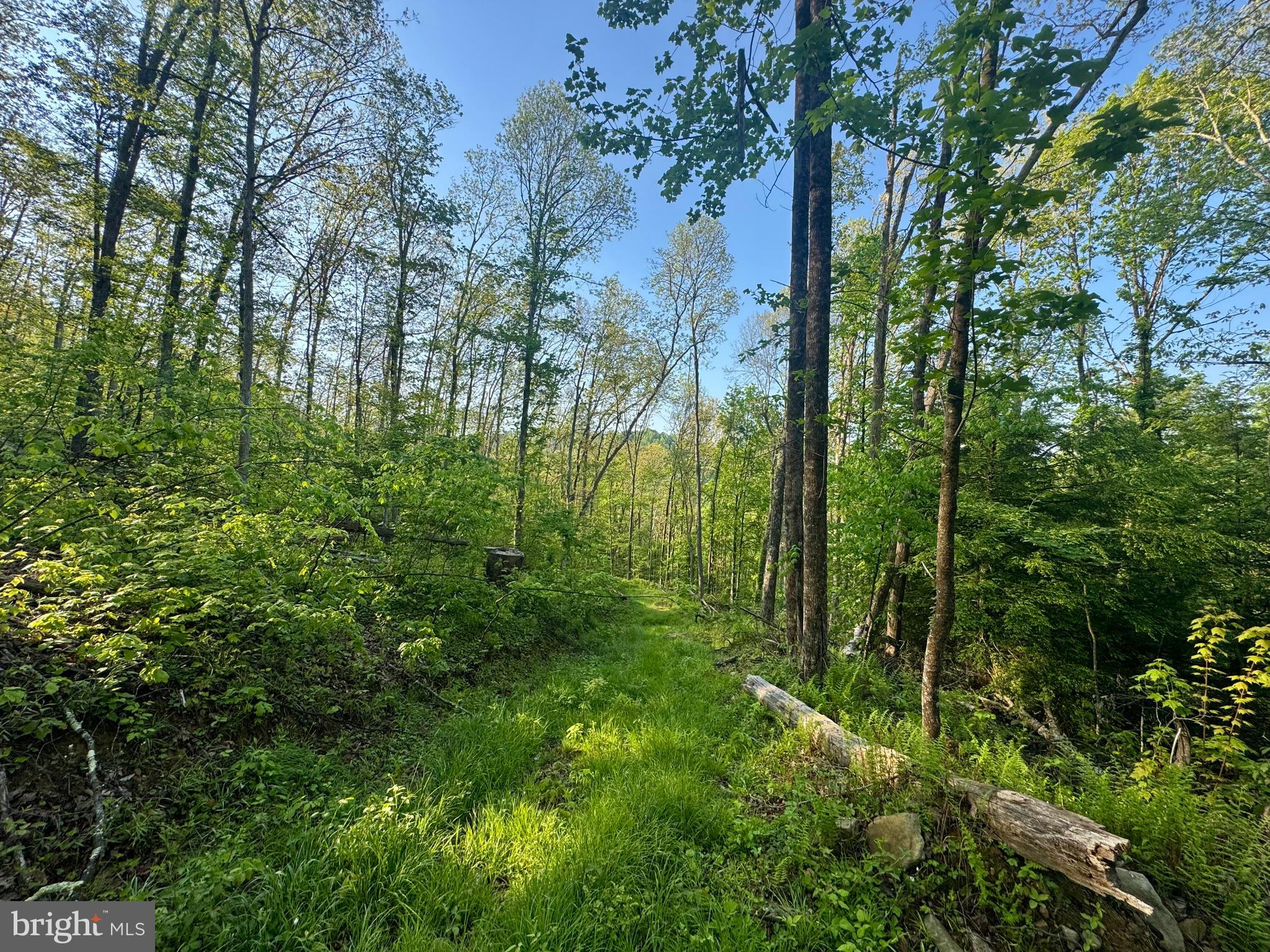 John Orr Road Independence, WV 26374 - Photo 15 of 37