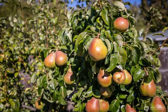 $639,000 | 2439 West 12th Street, Port Angeles, WA 98363