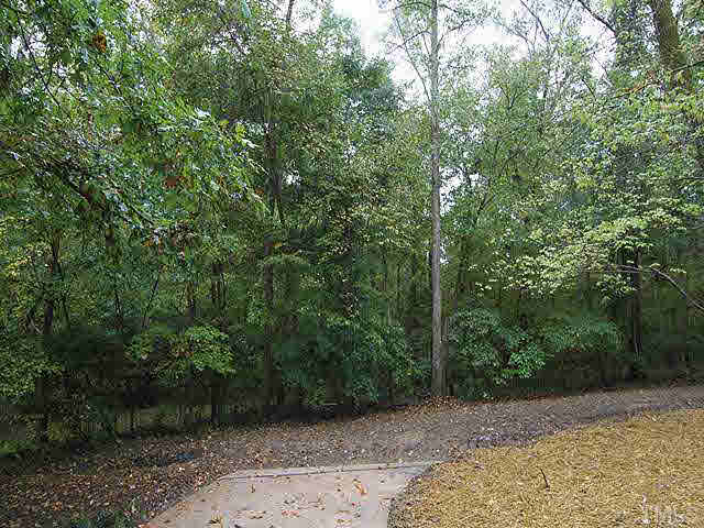 4123 Trotter Ridge Road Durham, NC 27707 - Photo 12 of 13 Gallery Image 12
