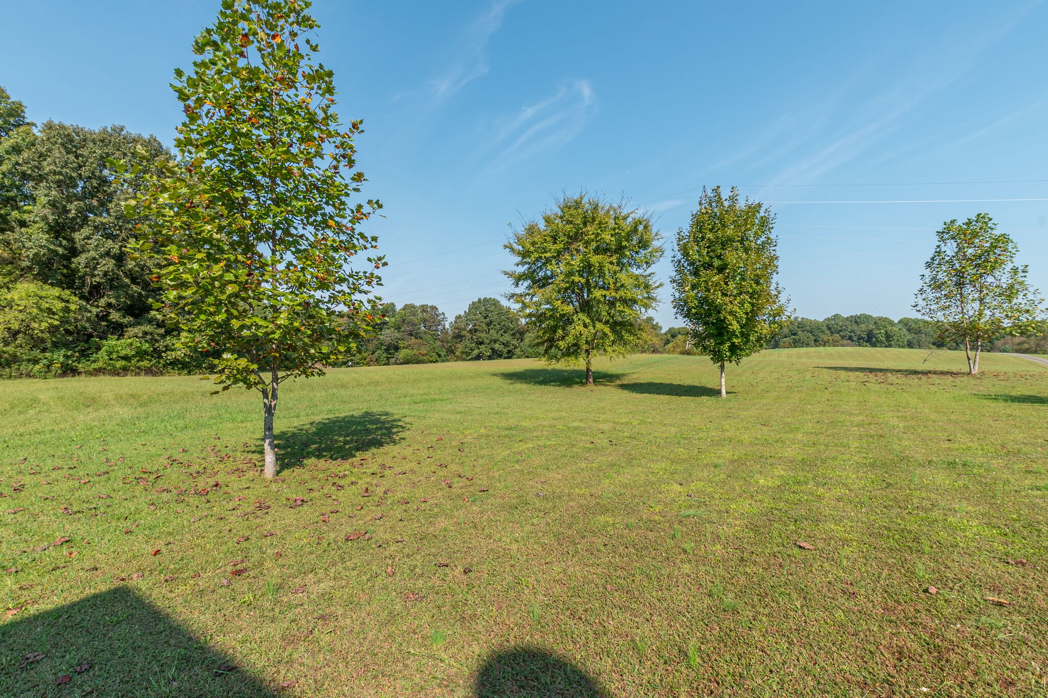 2113 Burford Road Lebanon, TN 37087 - Photo 34 of 35 a backyard of a house with lots of green space