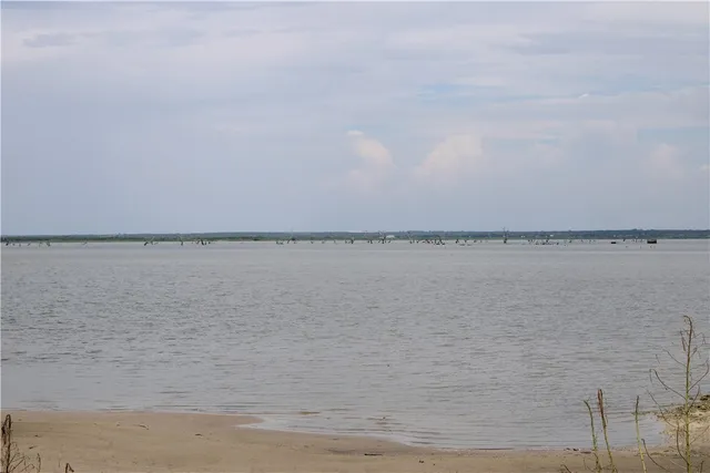 $65,000 | -lot 5 Vista Fina Drive, Sandia, TX 78383