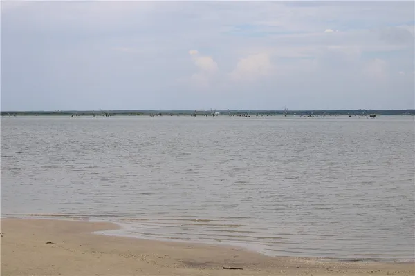 $65,000 | -lot 5 Vista Fina Drive, Sandia, TX 78383