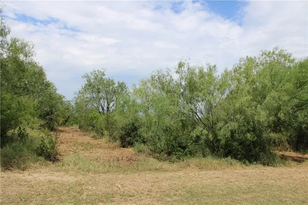 wooden floor with a building in the background