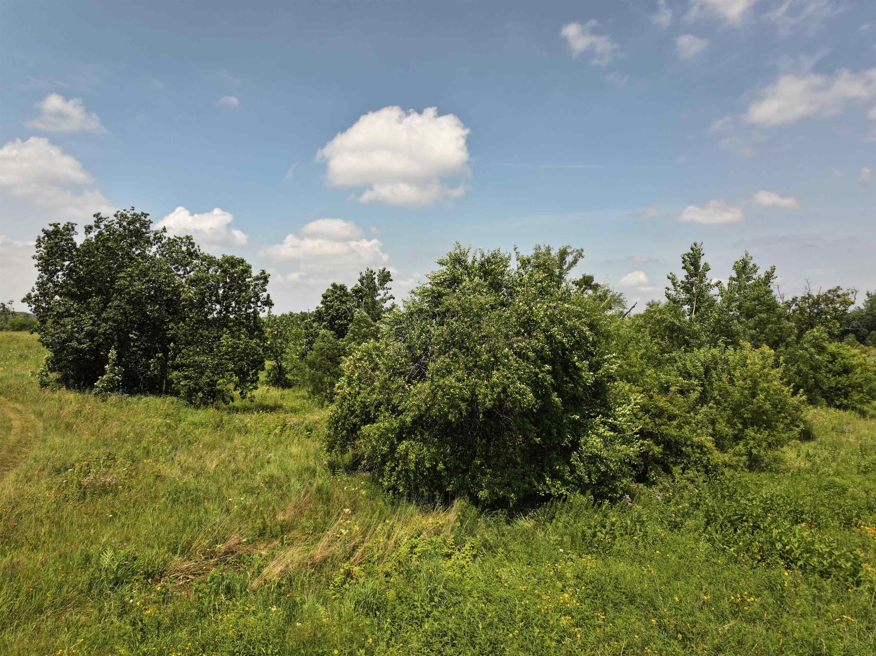 5 Acres M/l North Charley Bluff Road Milton, WI 53563 - Photo 13 of 13