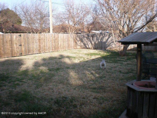 6213 Rutgers Street Amarillo, TX 79109 - Photo 15 of 15 Backyard