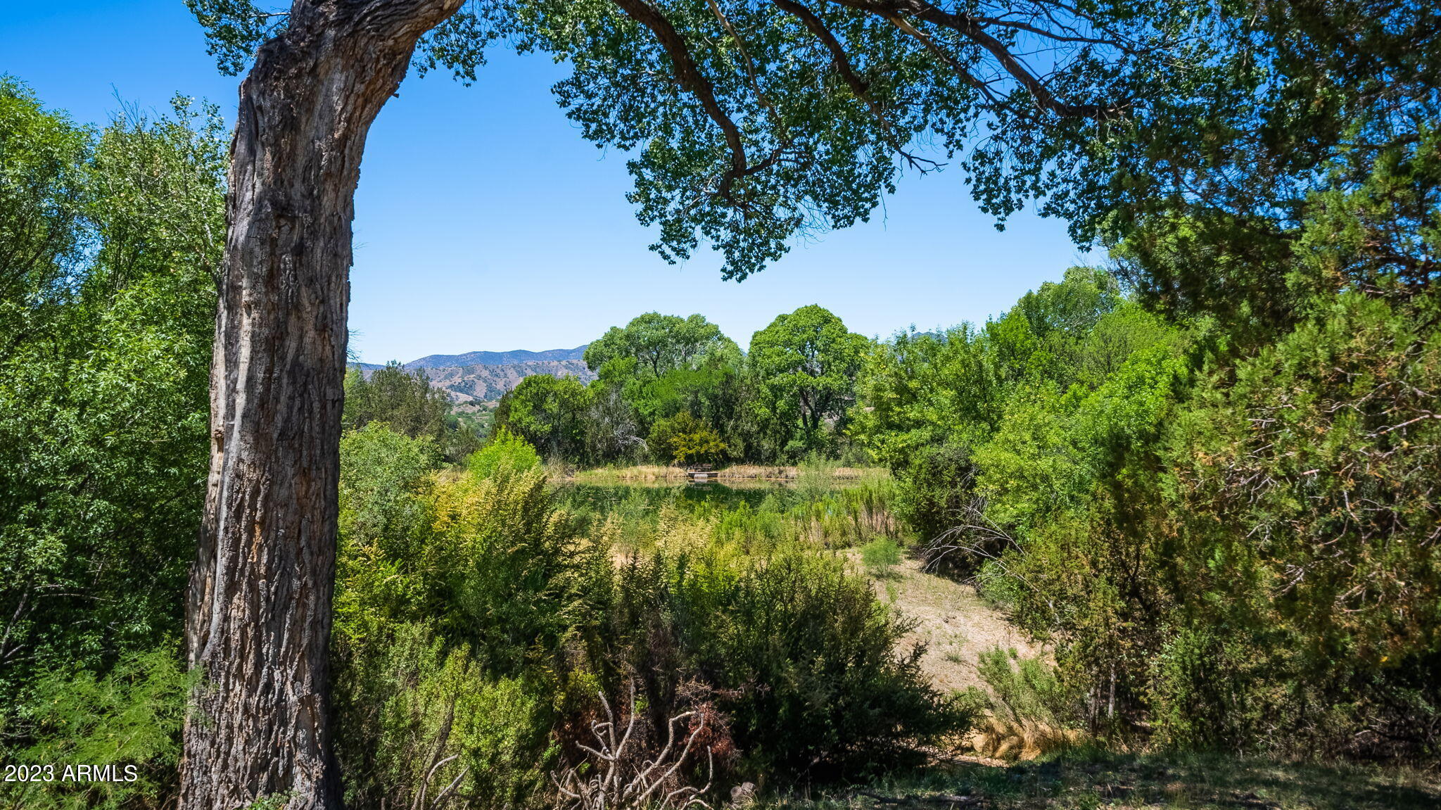 2671 Highway 82 Patagonia Az 85624 Patagonia, AZ 85624 - Photo 47 of 65 Property