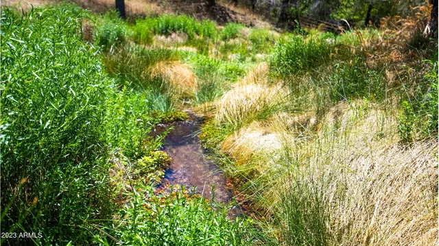 $25,000,000 | 2671 Highway 82 Patagonia Az 85624, Patagonia, AZ 85624