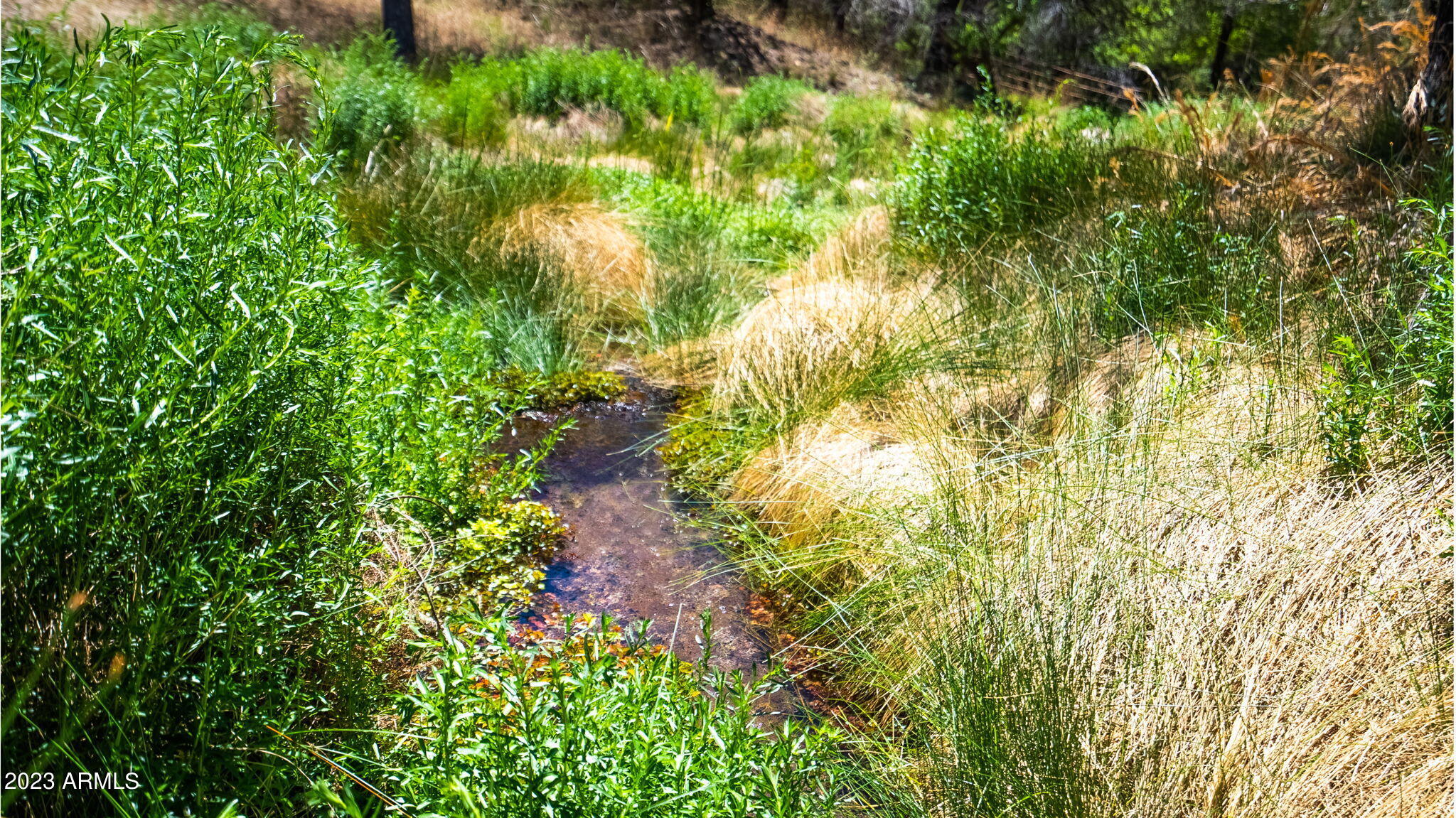 2671 Highway 82 Patagonia Az 85624 Patagonia, AZ 85624 - Photo 65 of 65 Rail X Ranch