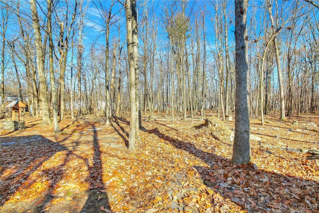 111 Brewster Way East Stroudsburg, PA 18301 - Photo 25 of 30 a view of a outdoor space