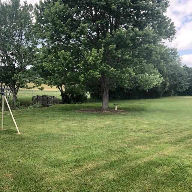 8102 Thompson School Road Corryton, TN 37721 - Photo 20 of 21 TSR - yard
