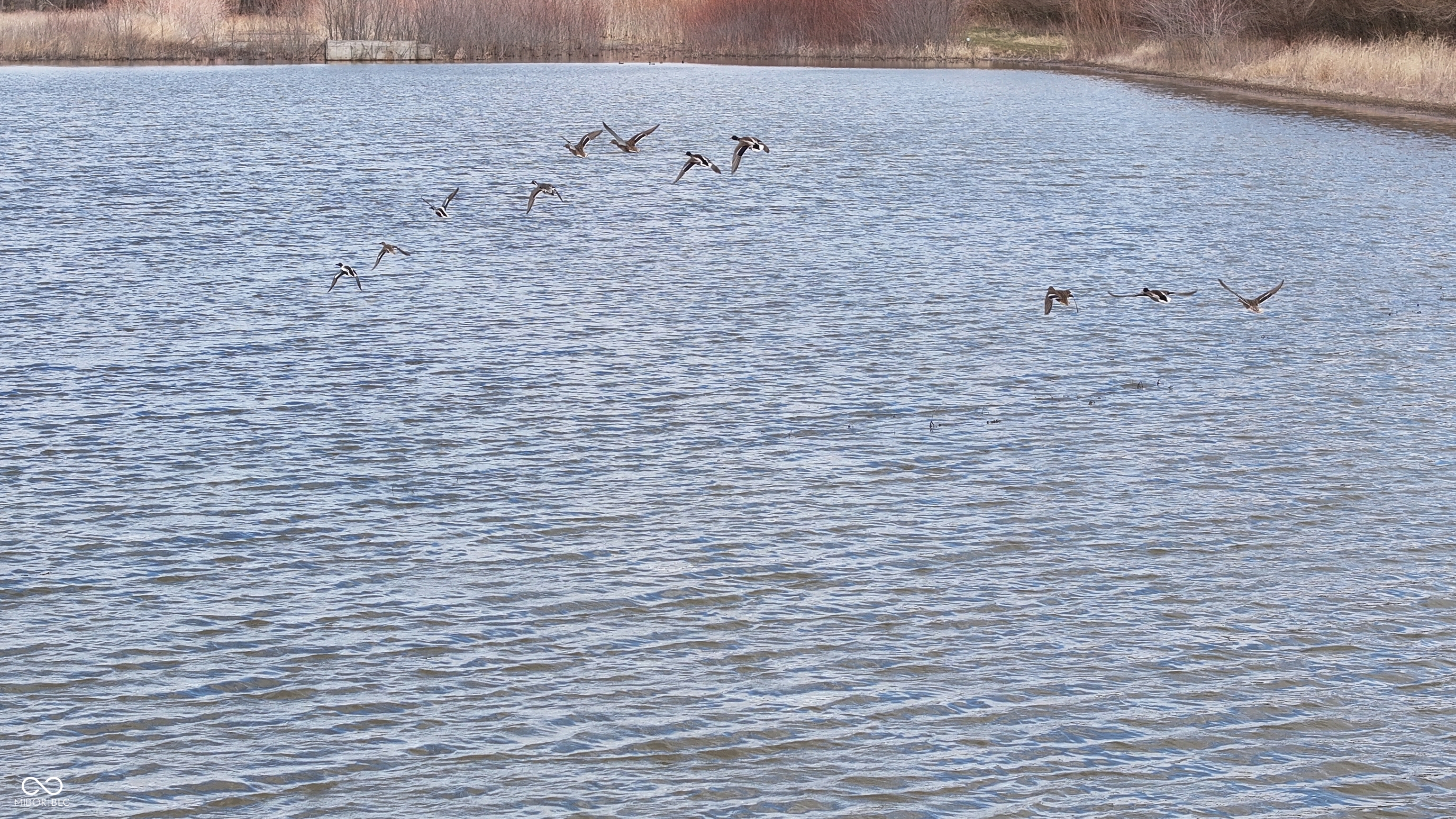 1000 West Lyons, IN 47443 - Photo 11 of 83