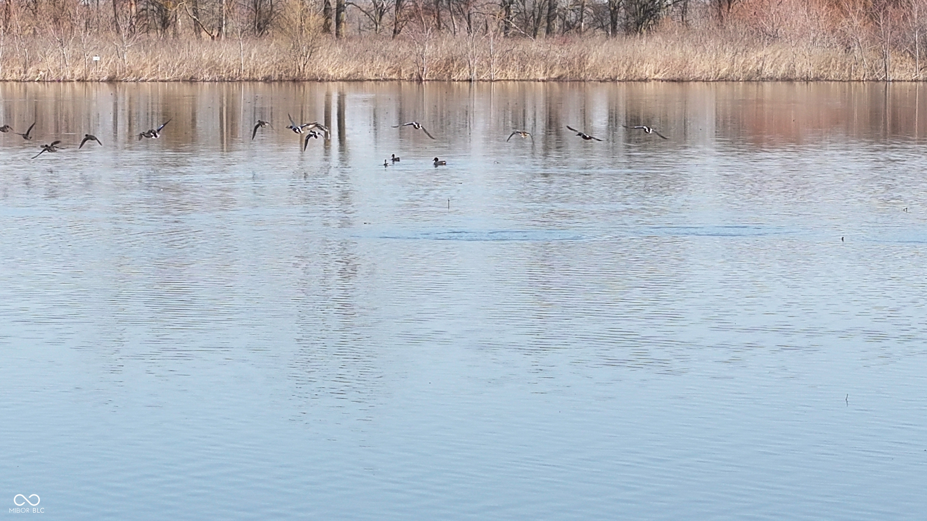 1000 West Lyons, IN 47443 - Photo 15 of 83
