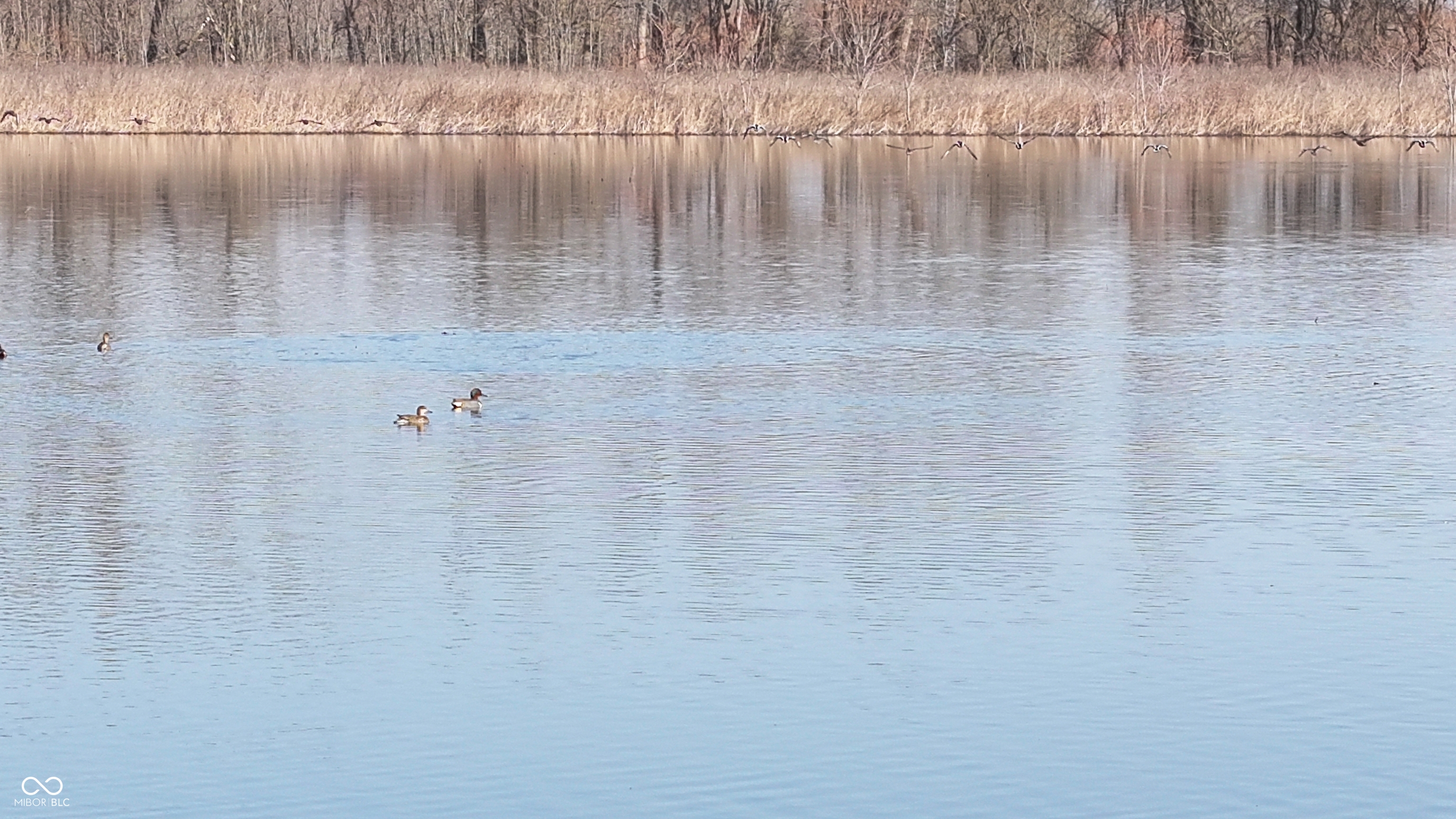 1000 West Lyons, IN 47443 - Photo 16 of 83