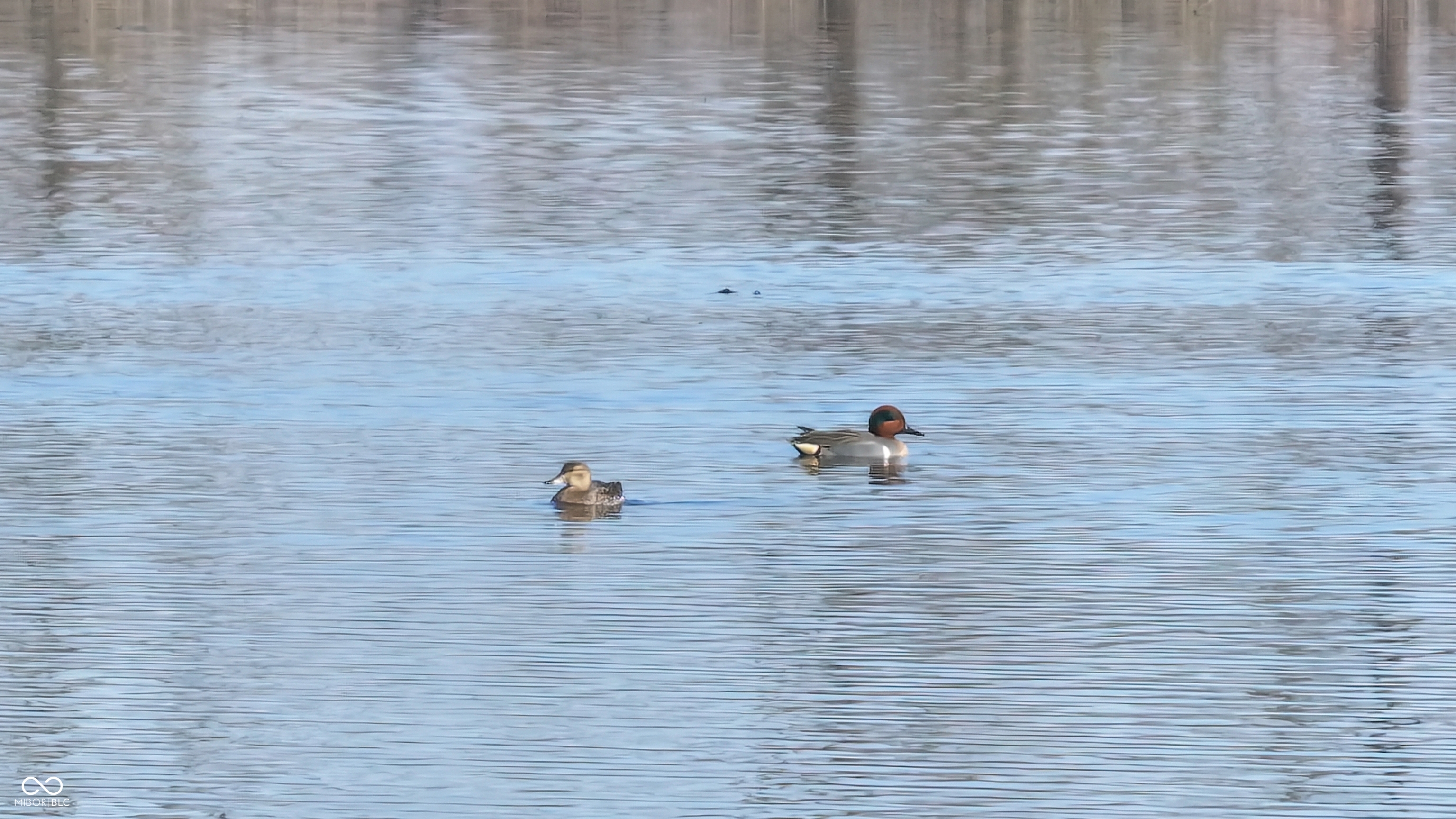 1000 West Lyons, IN 47443 - Photo 17 of 83