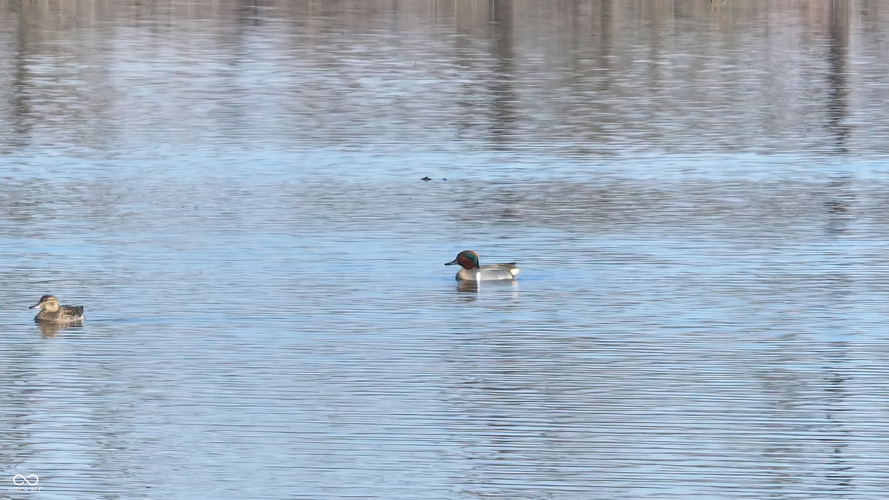1000 West Lyons, IN 47443 - Photo 18 of 83