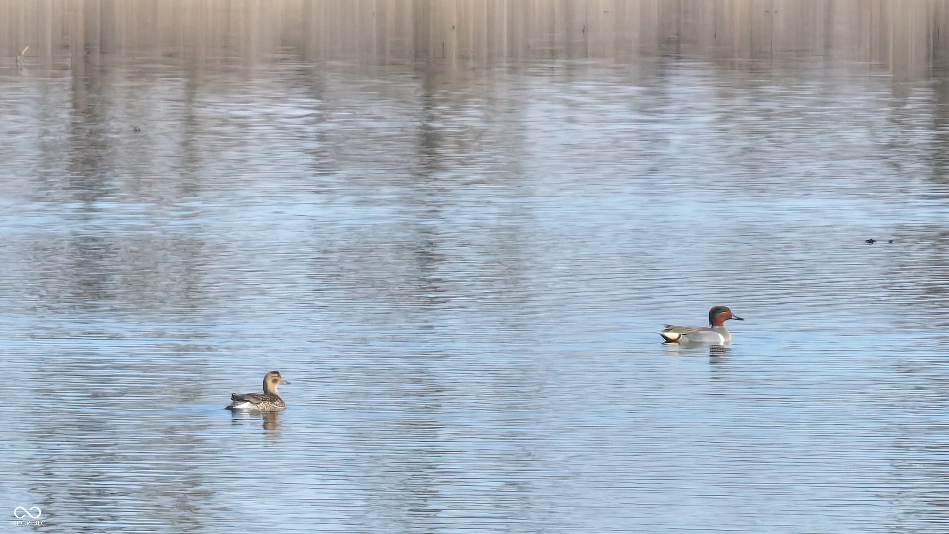1000 West Lyons, IN 47443 - Photo 19 of 83