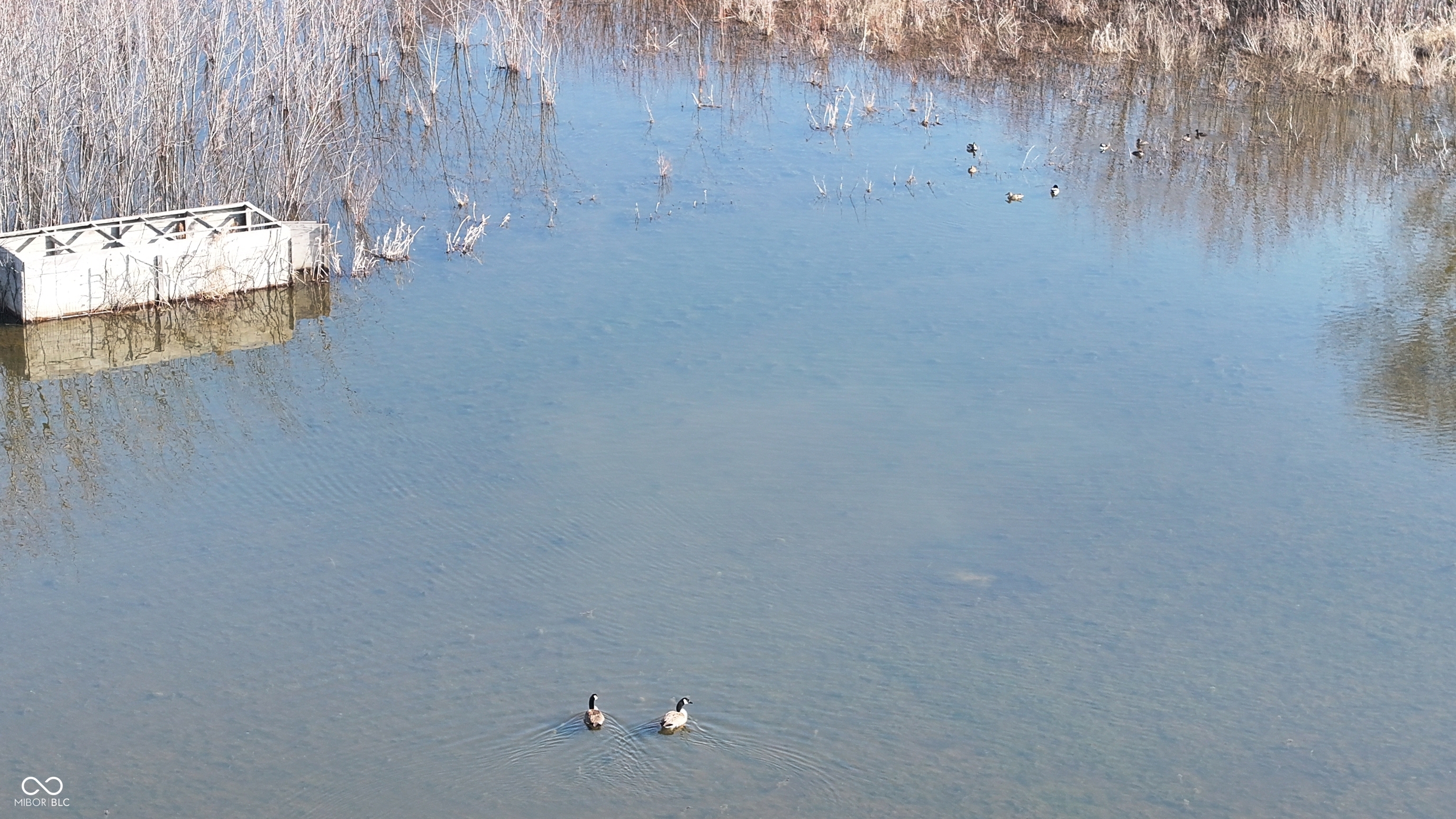 1000 West Lyons, IN 47443 - Photo 20 of 83