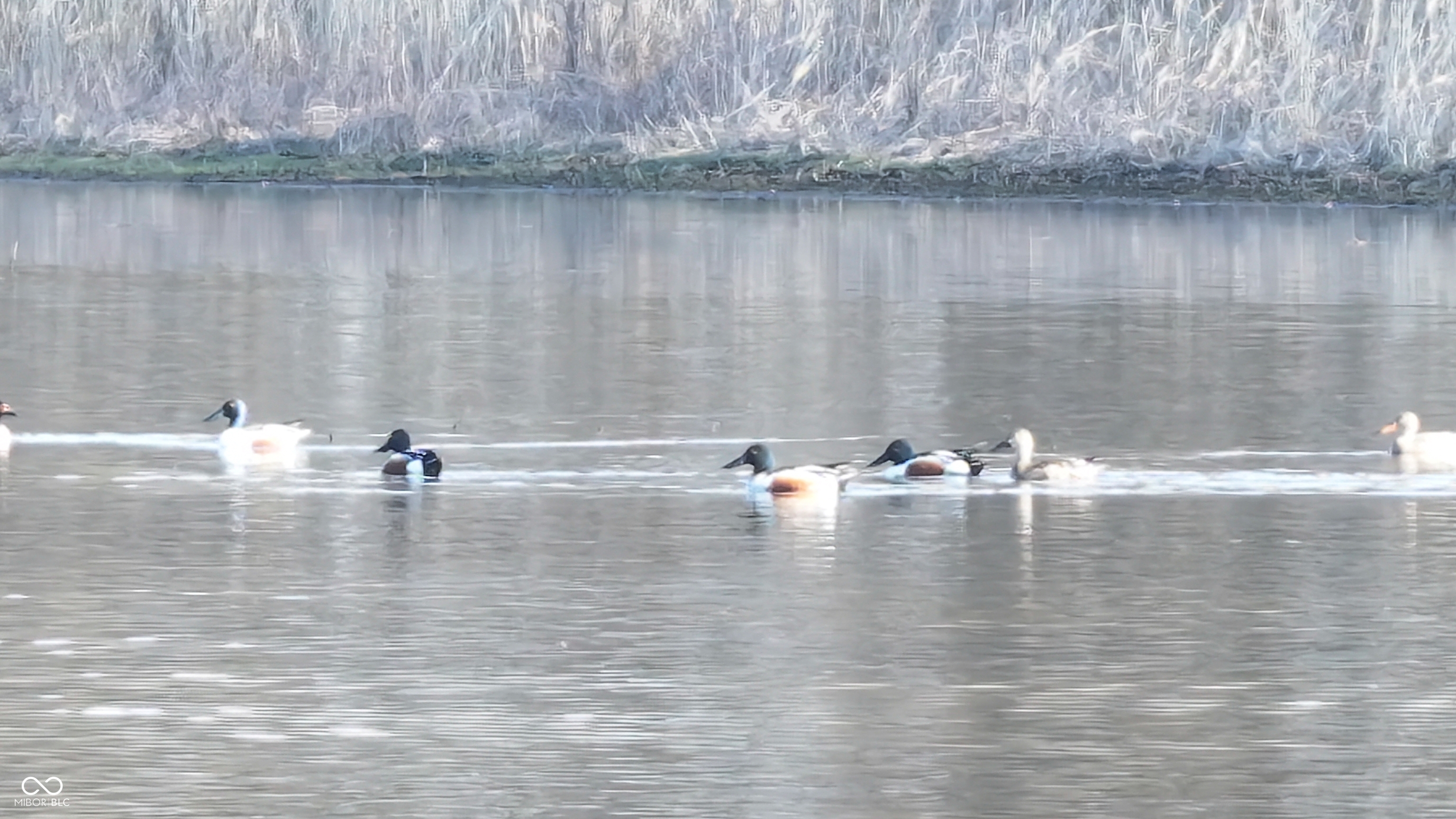 1000 West Lyons, IN 47443 - Photo 3 of 83