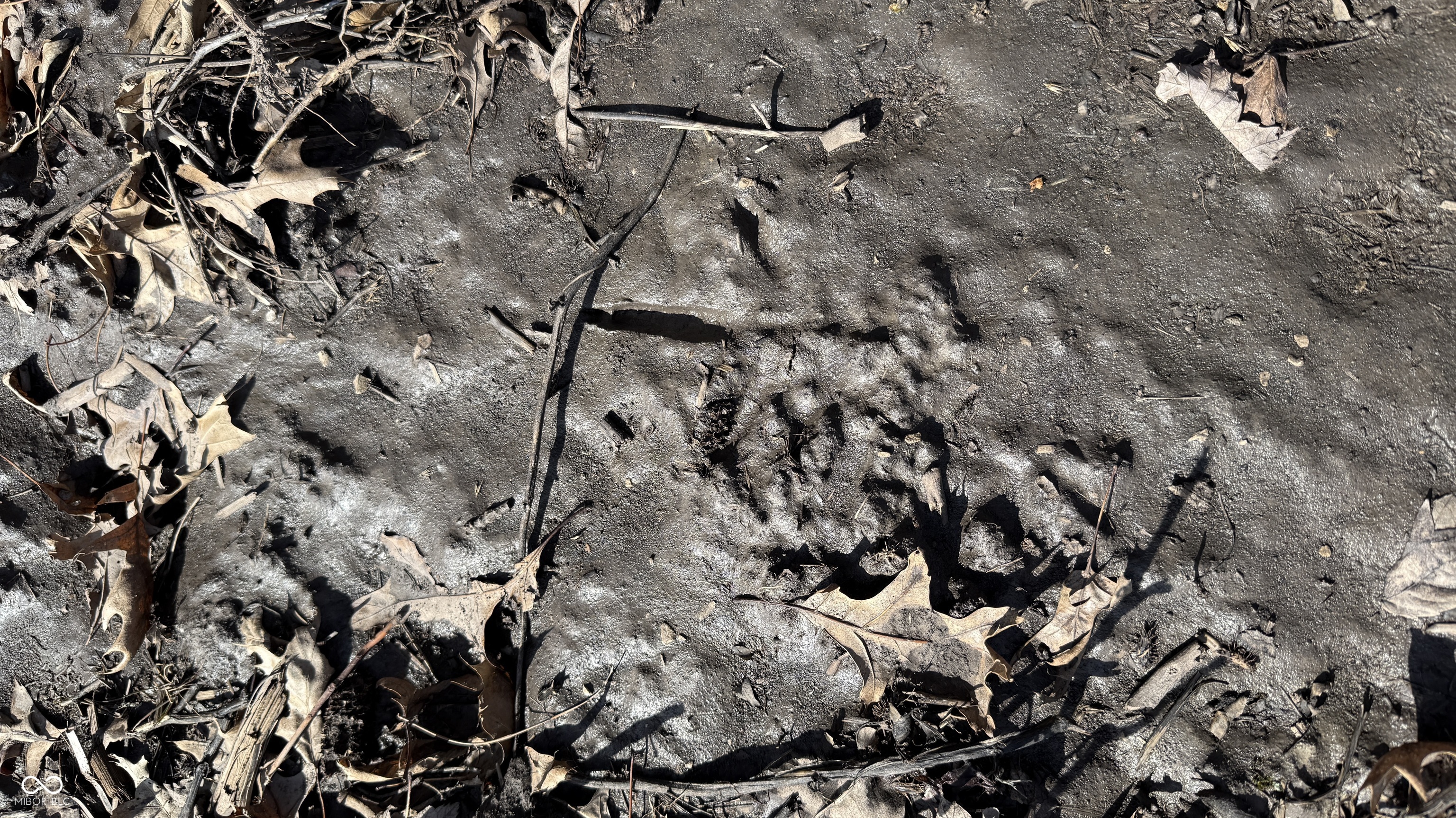 1000 West Lyons, IN 47443 - Photo 38 of 83