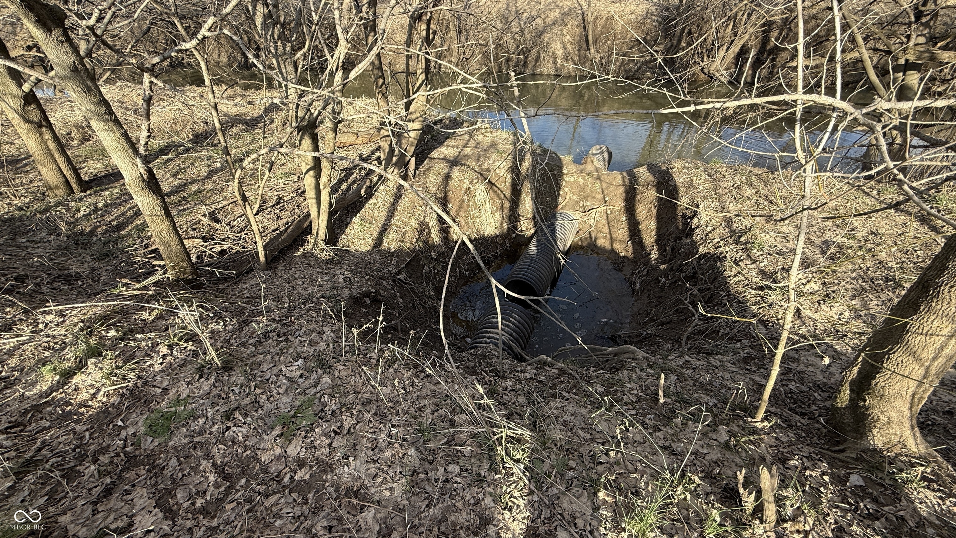 1000 West Lyons, IN 47443 - Photo 56 of 83