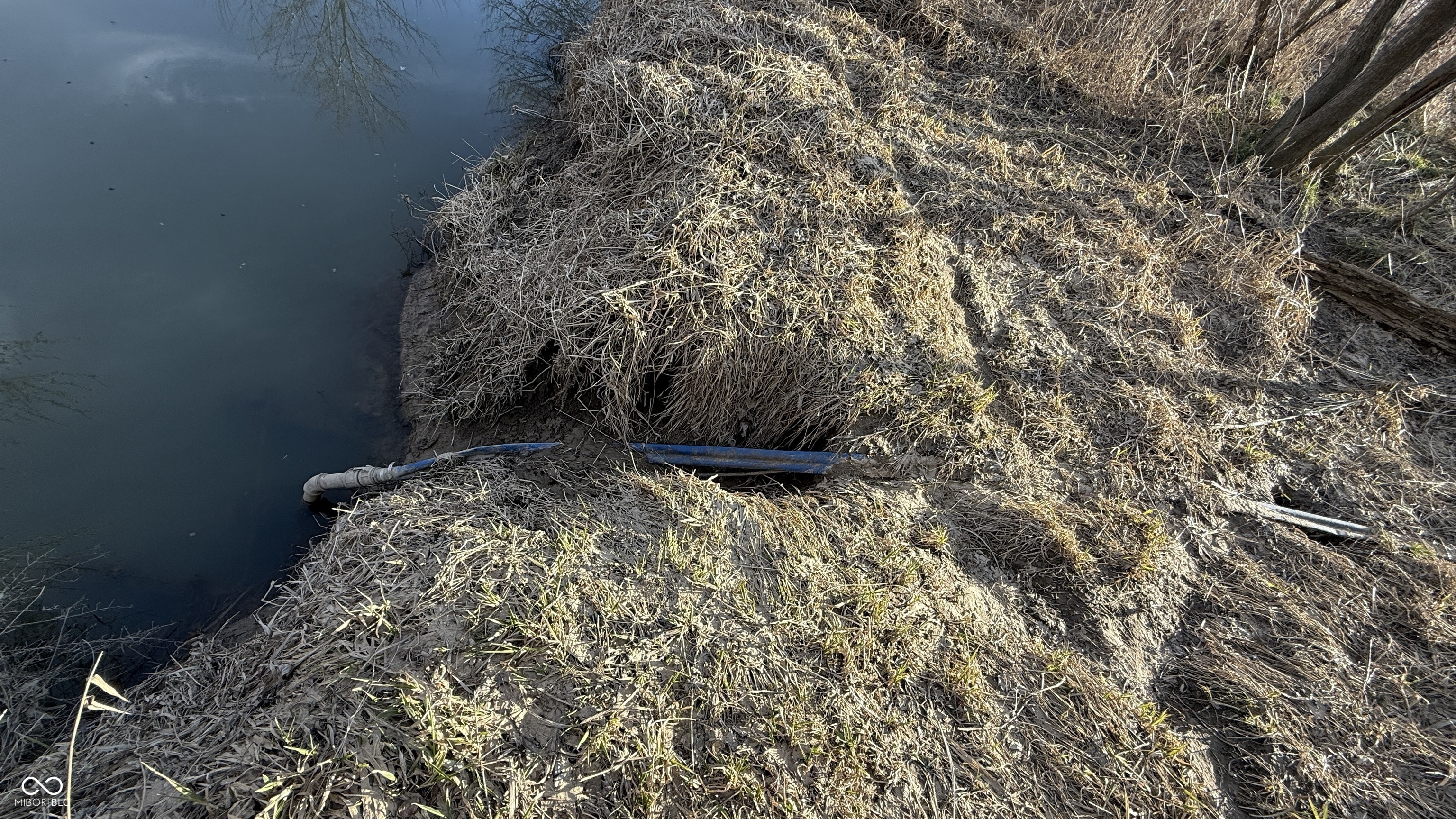 1000 West Lyons, IN 47443 - Photo 60 of 83