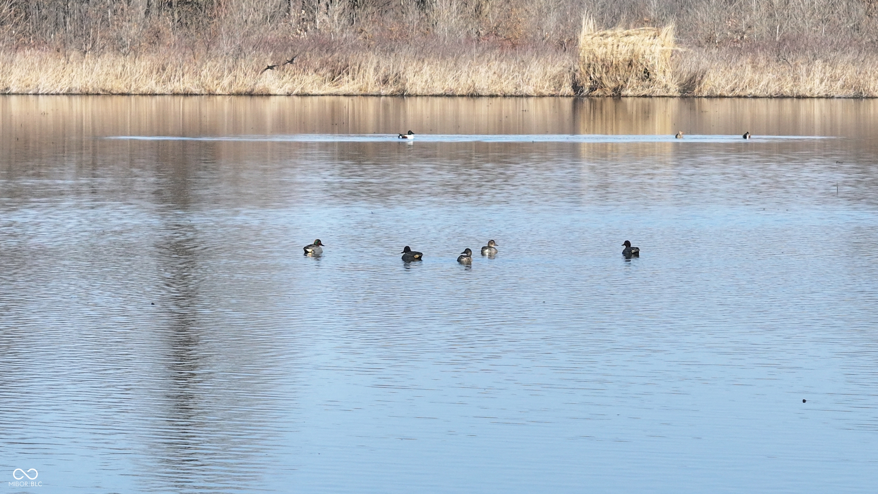 1000 West Lyons, IN 47443 - Photo 6 of 83