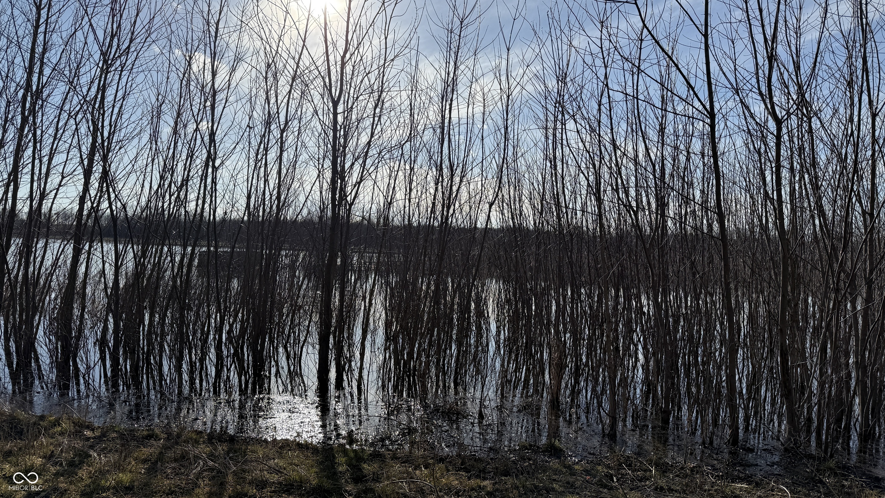 1000 West Lyons, IN 47443 - Photo 64 of 83