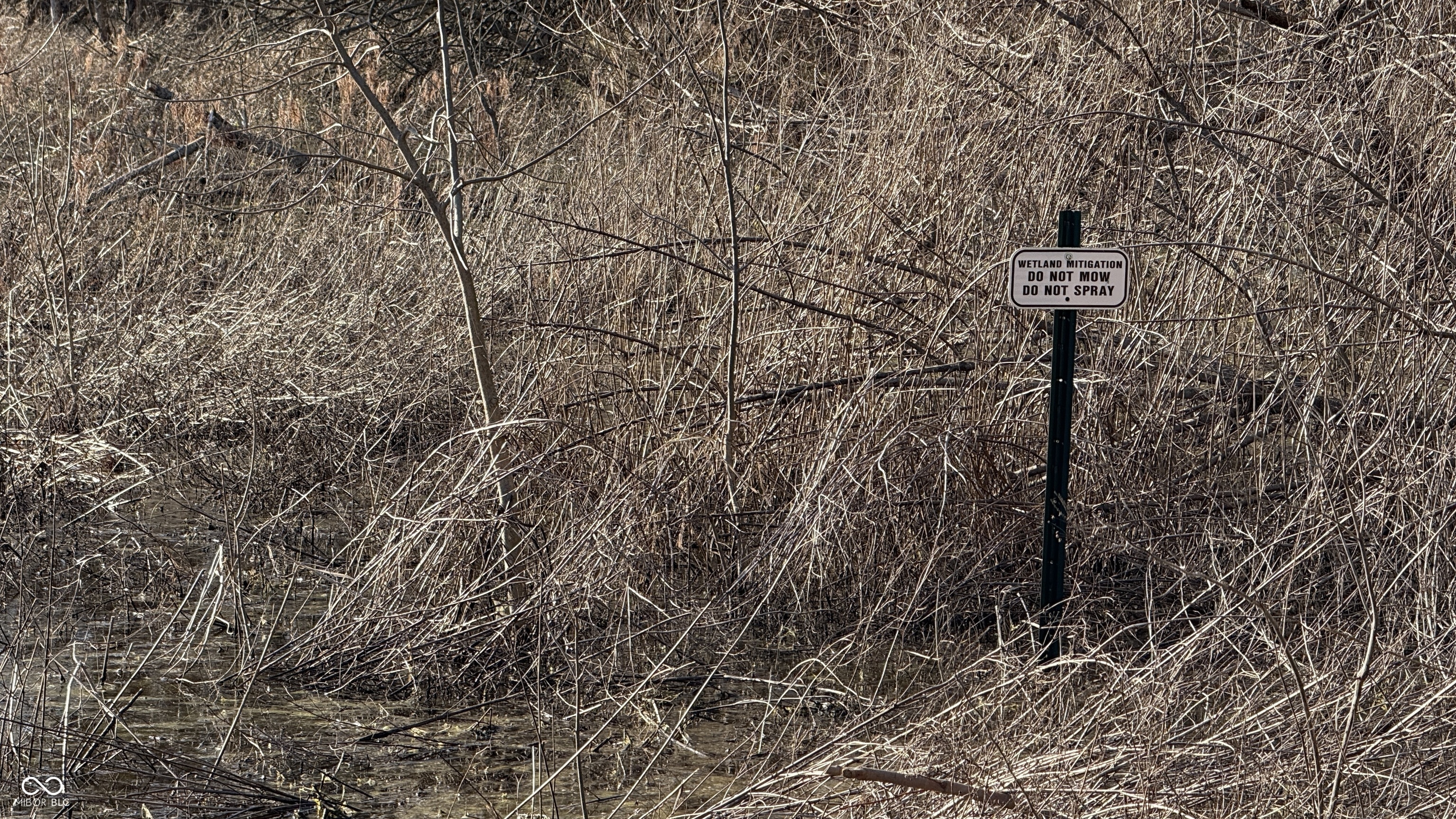 1000 West Lyons, IN 47443 - Photo 65 of 83