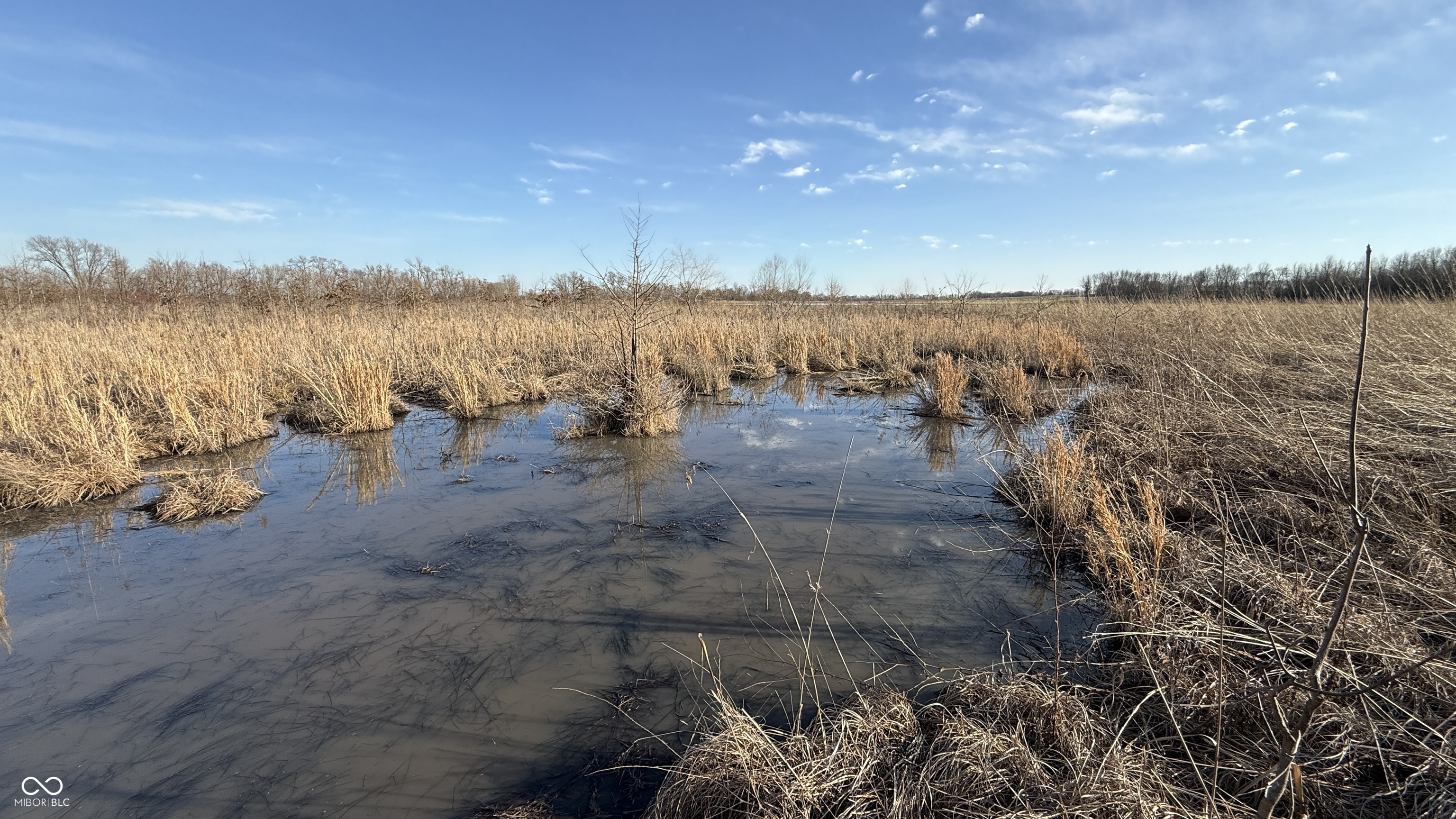 1000 West Lyons, IN 47443 - Photo 74 of 83
