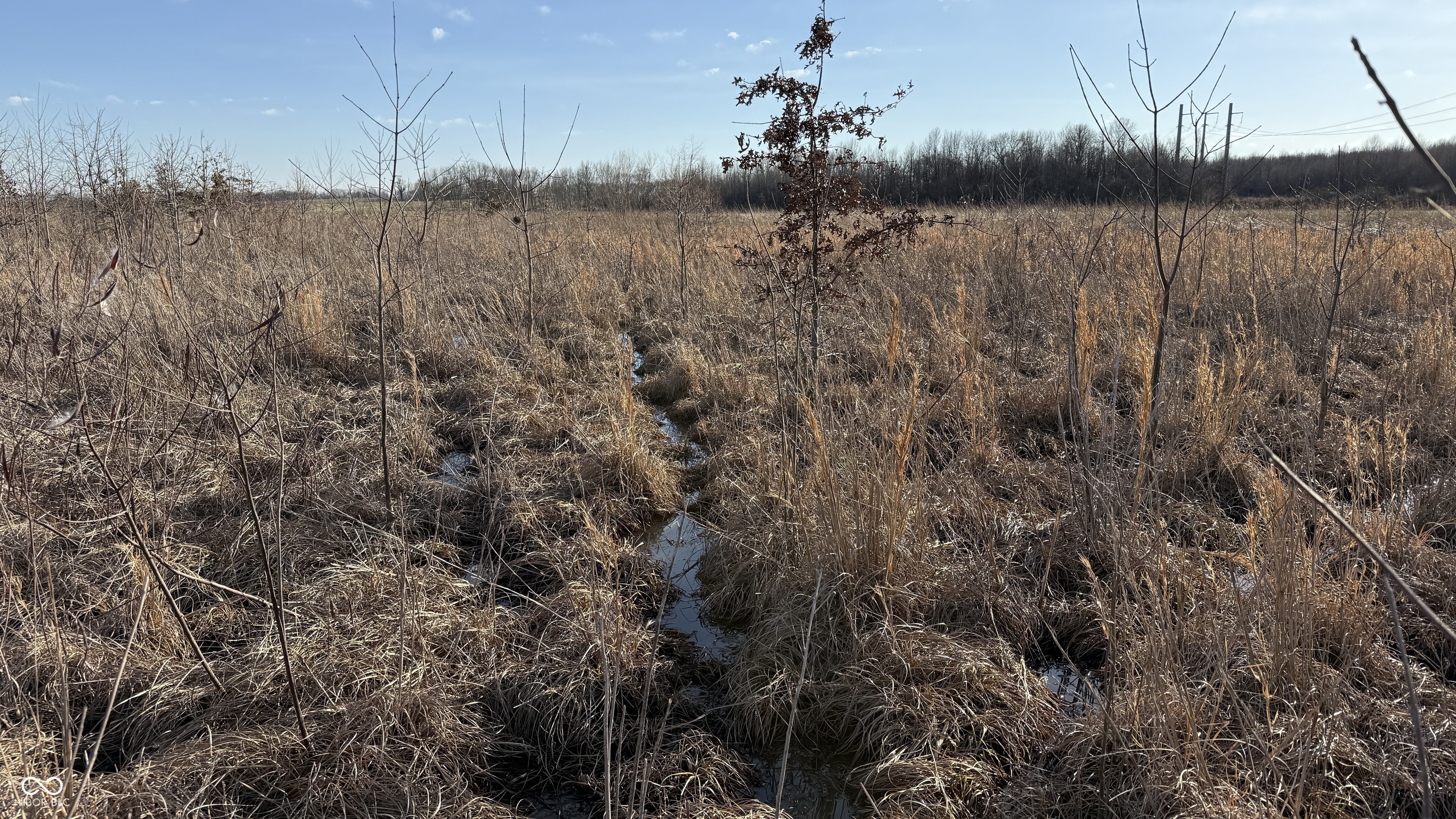 1000 West Lyons, IN 47443 - Photo 75 of 83