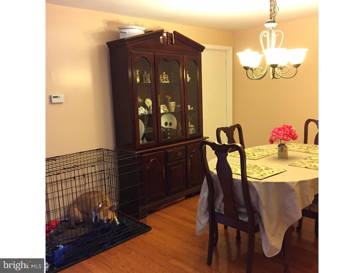 8404 Verree Road Philadelphia, PA 19111 - Photo 4 of 17 Gallery Image 4