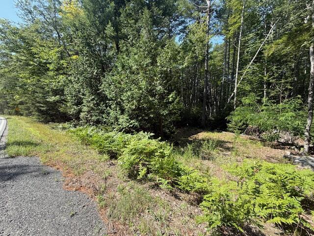 377 Front Ridge Road Penobscot, ME 04476 - Photo 1 of 6 IMG_4439