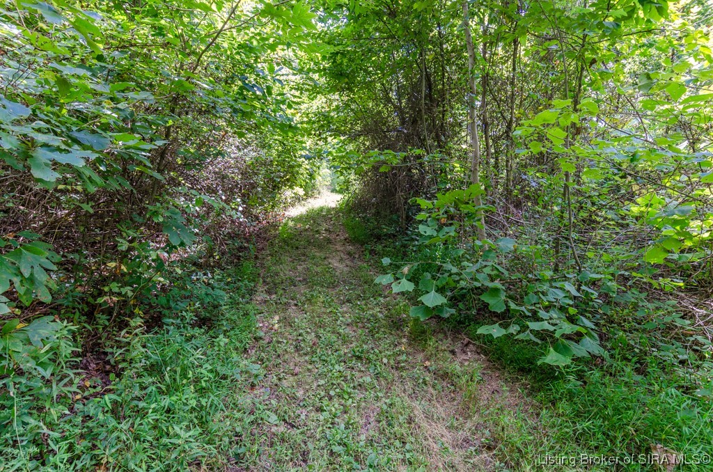 132 South Garrison Hollow Road Salem, IN 47167 - Photo 35 of 44