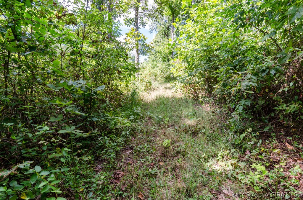 132 South Garrison Hollow Road Salem, IN 47167 - Photo 37 of 44