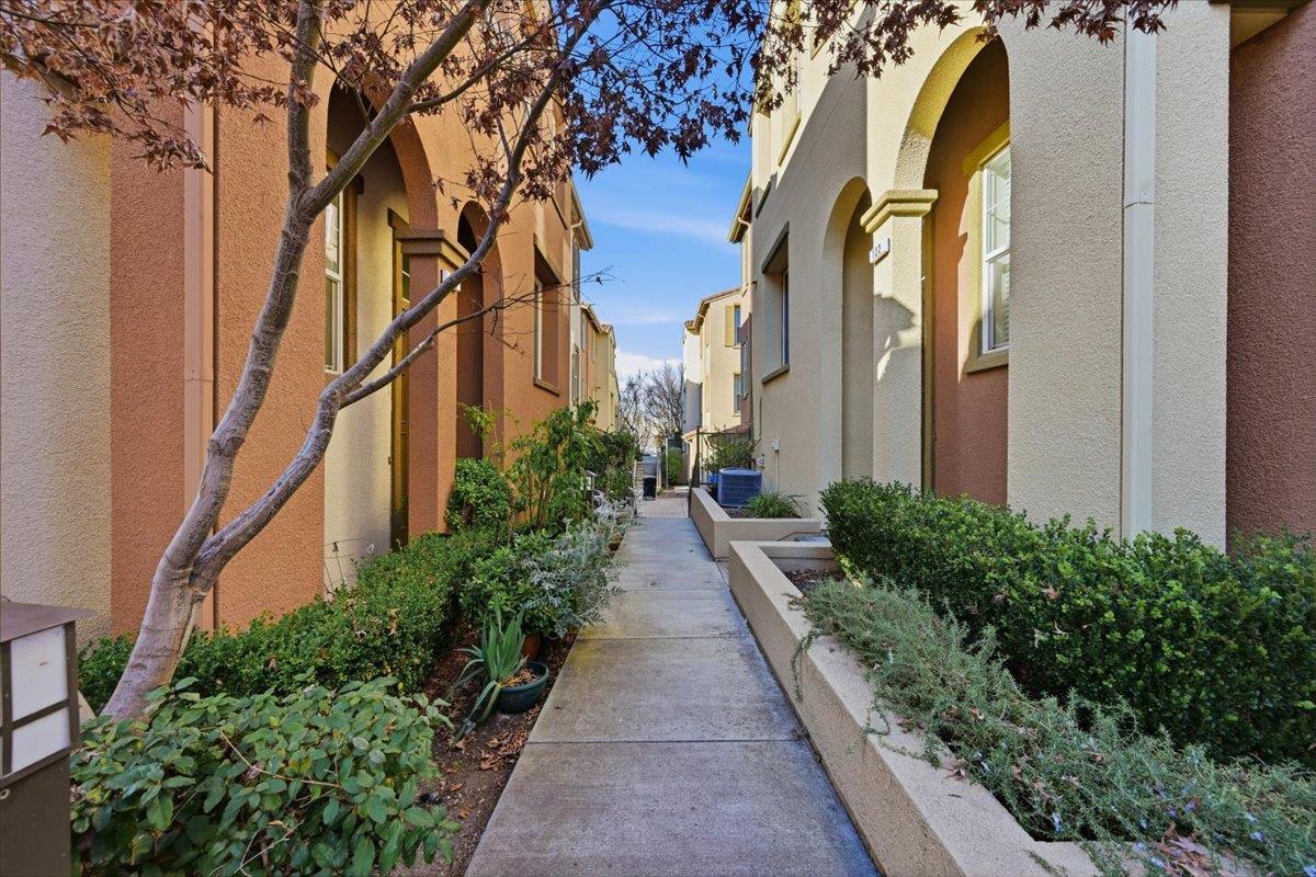 212 Boston Fern Common Fremont, CA 94539 - Photo 64 of 76