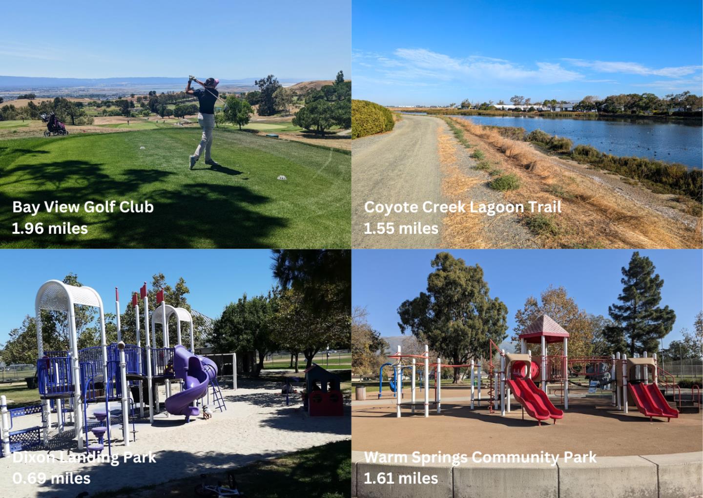 212 Boston Fern Common Fremont, CA 94539 - Photo 75 of 76