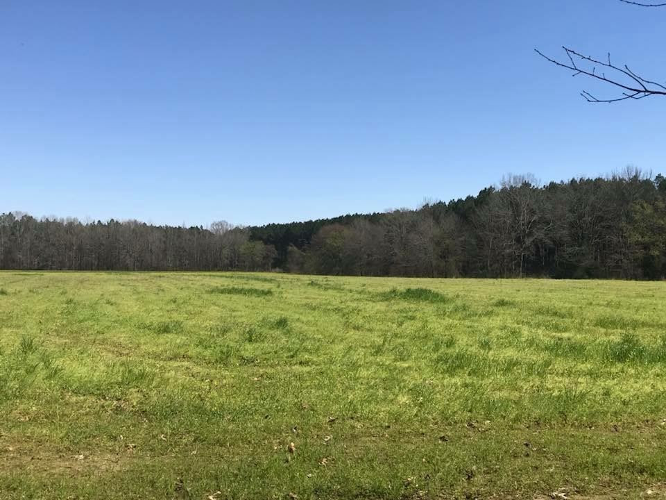 9 Stump Ridge Road, Unit 9 Brandon, MS 39047 - Photo 1 of 1 Photo 1