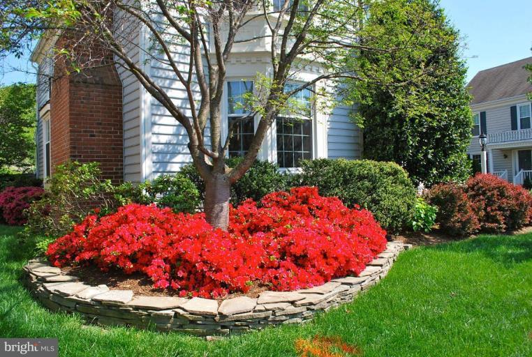 6583 Forsythia Street Springfield, VA 22150 - Photo 22 of 28 a view of a backyard with potted plants and large trees