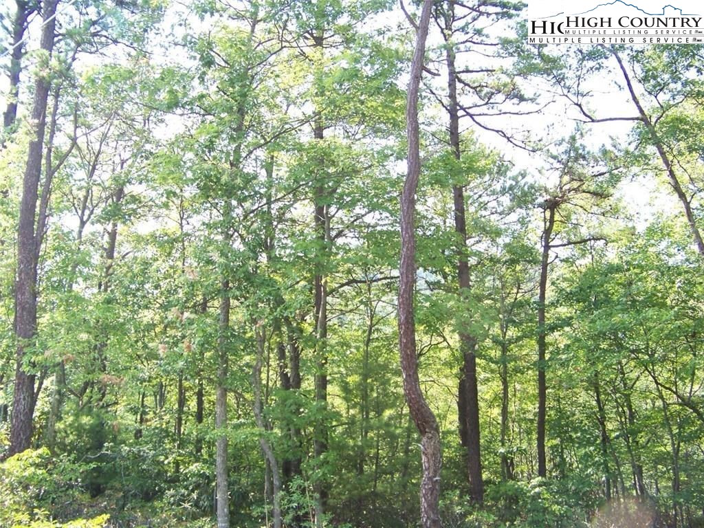 Lot 35 Dugger Firetower Road Boone, NC 28607 - Photo 4 of 5 Gallery Image 4