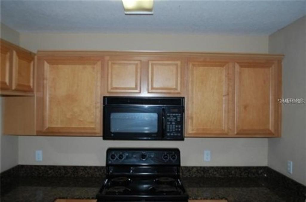 3419 Dragon View Court Valrico, FL 33594 - Photo 4 of 17 a kitchen with granite countertop white cabinets and black appliances