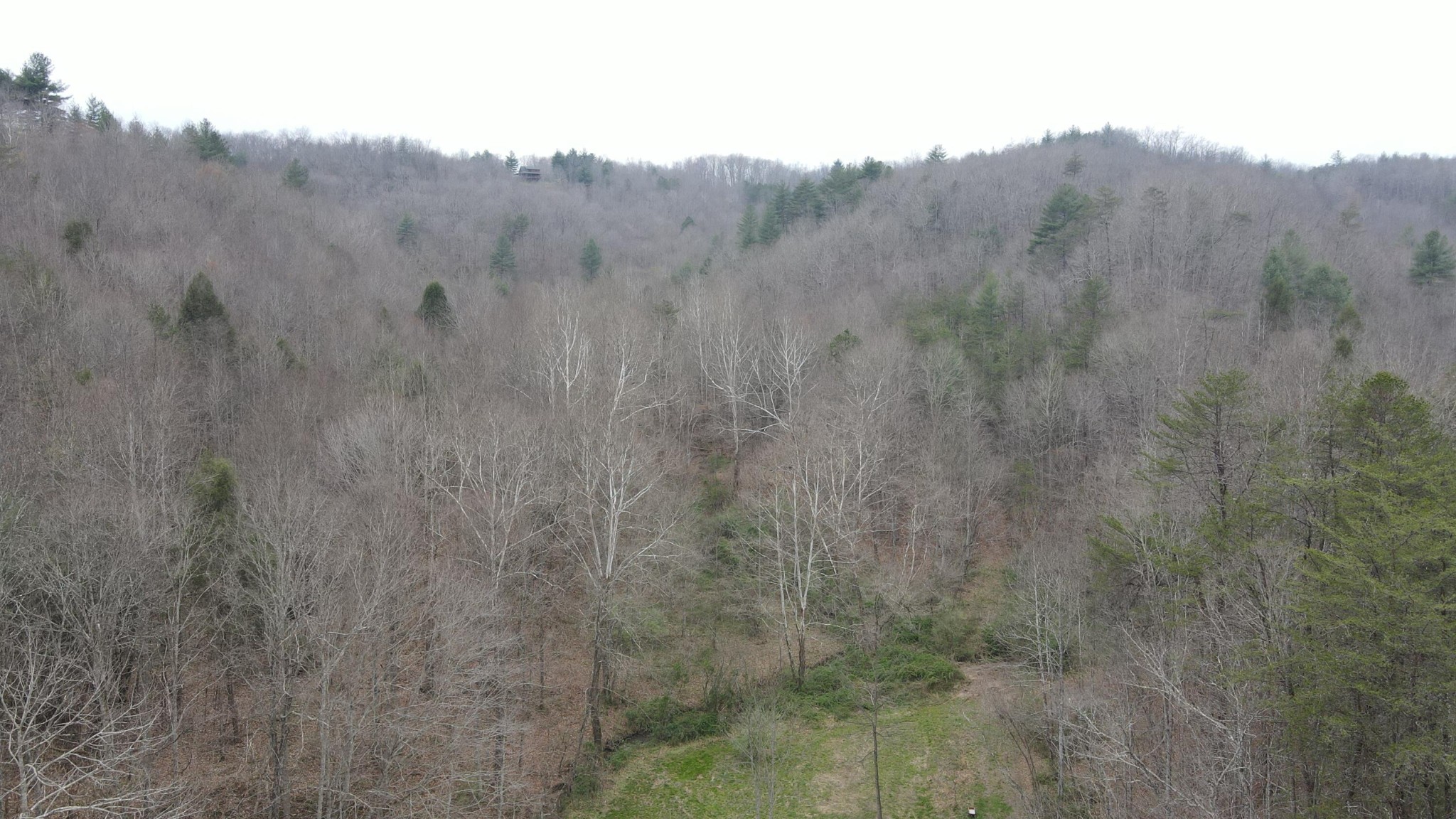 899 Morning Glory Road Oneida, TN 37841 - Photo 8 of 27