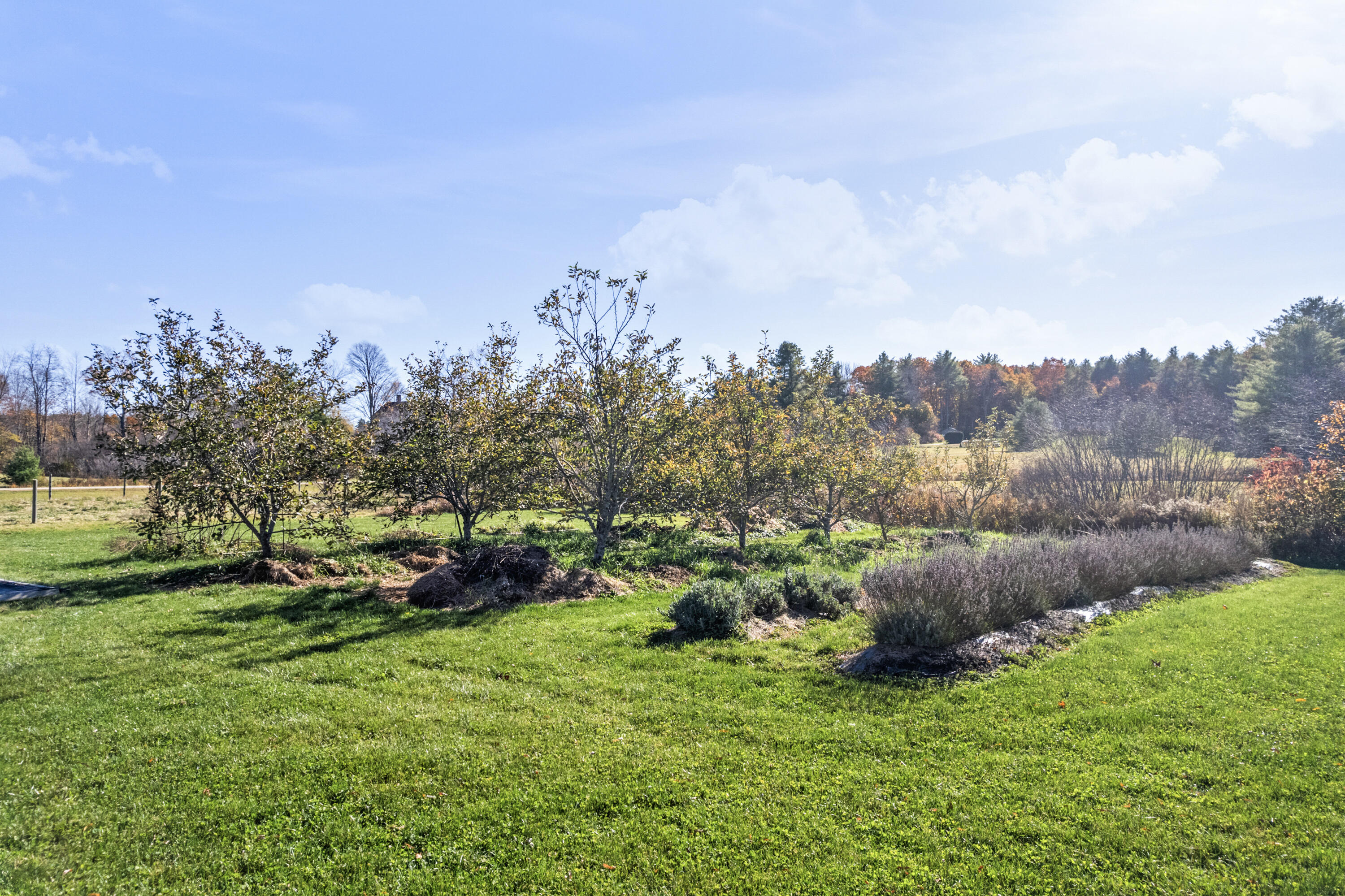 920 Alewive Road Kennebunk, ME 04043 - Photo 44 of 69 920 Alewive Rd_179