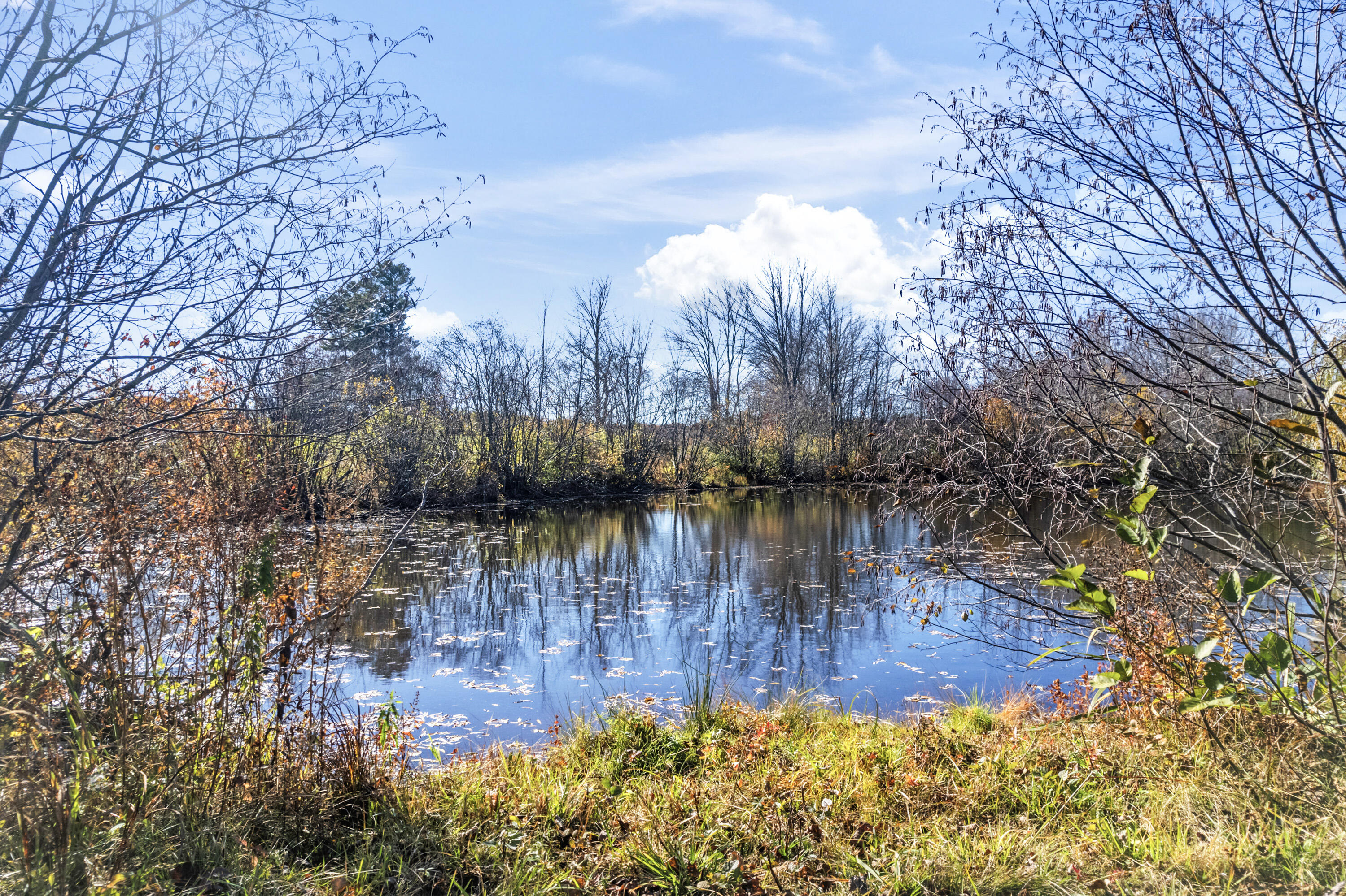920 Alewive Road Kennebunk, ME 04043 - Photo 46 of 69 920 Alewive Rd_181