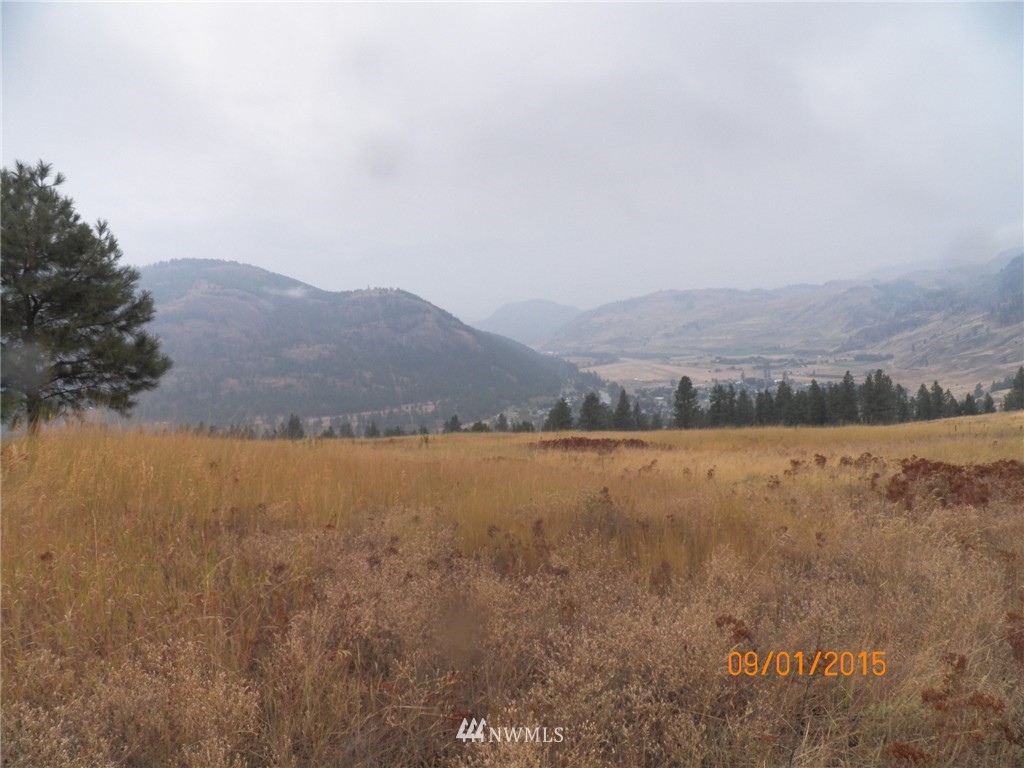-tbd Border Road Curlew, WA 99118 - Photo 11 of 24 Gallery Image 11