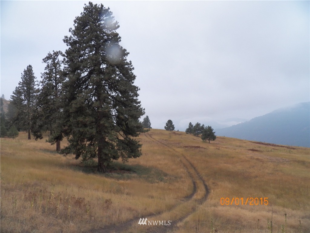 -tbd Border Road Curlew, WA 99118 - Photo 12 of 24 Gallery Image 12