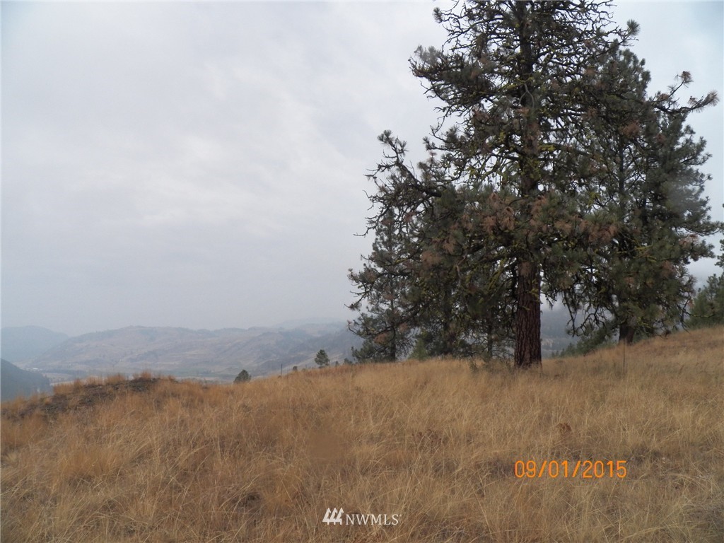 -tbd Border Road Curlew, WA 99118 - Photo 13 of 24 Gallery Image 13