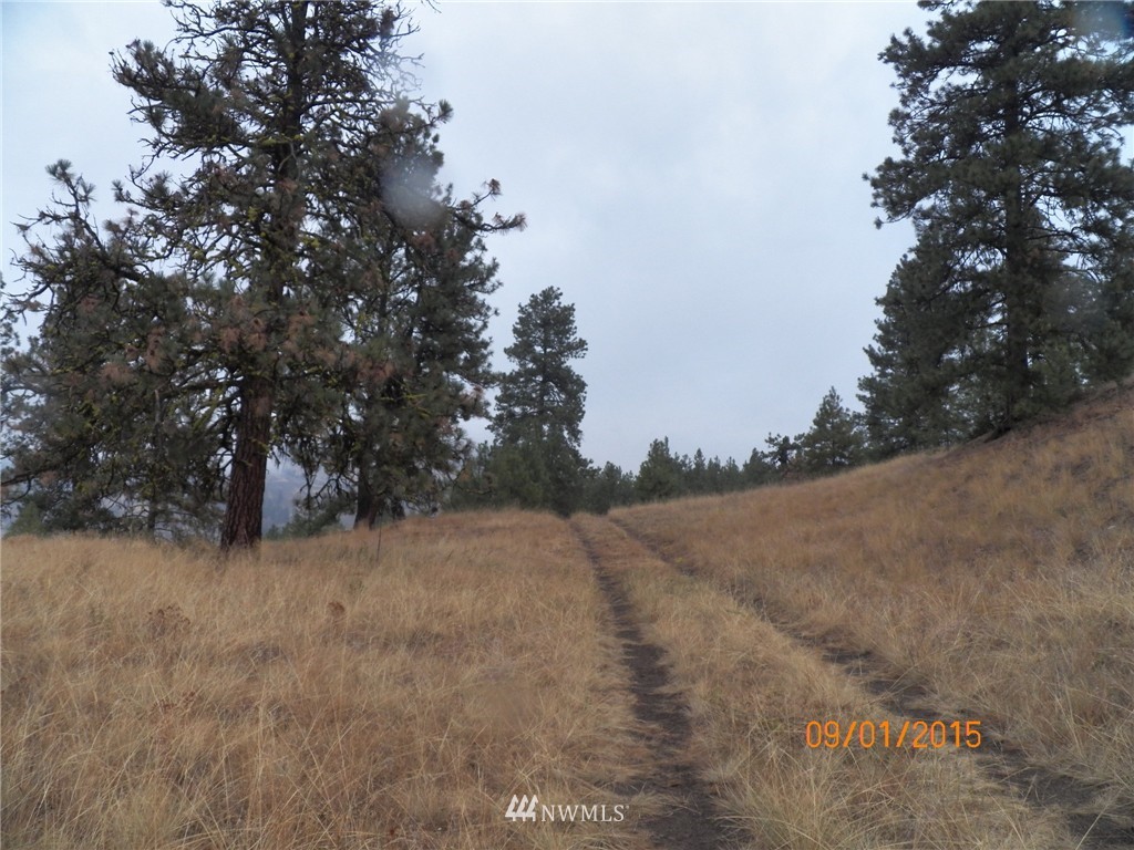 -tbd Border Road Curlew, WA 99118 - Photo 14 of 24 Gallery Image 14