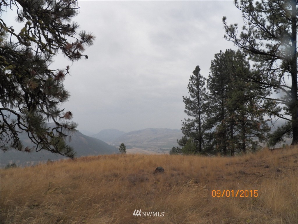 -tbd Border Road Curlew, WA 99118 - Photo 15 of 24 Gallery Image 15